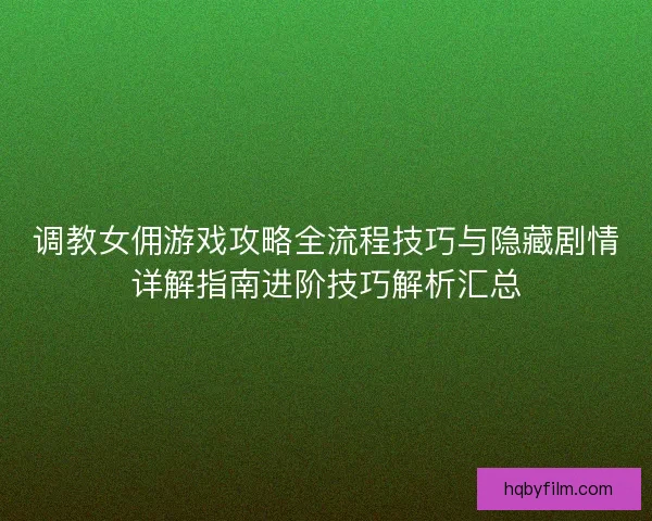 调教女佣游戏攻略全流程技巧与隐藏剧情详解指南进阶技巧解析汇总